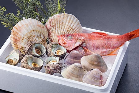 金目鯛の干物とバーベキュー貝セットの商品画像
