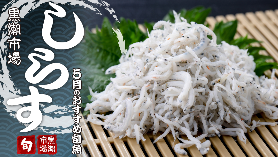 5月の旬は「しらす」